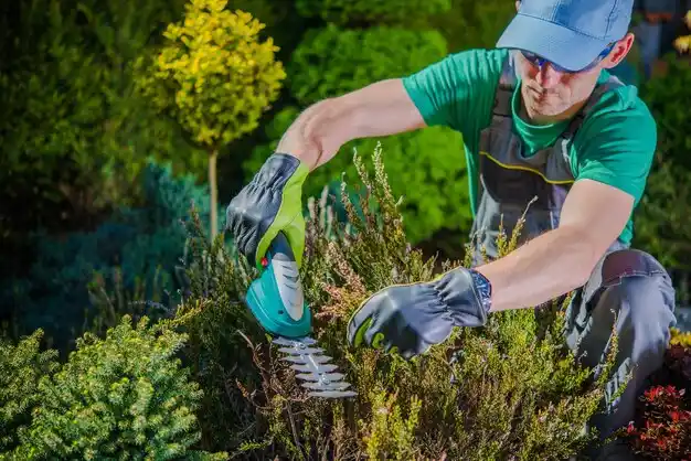 landscaping services McDermott